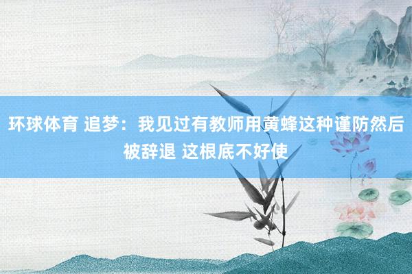 环球体育 追梦：我见过有教师用黄蜂这种谨防然后被辞退 这根底不好使