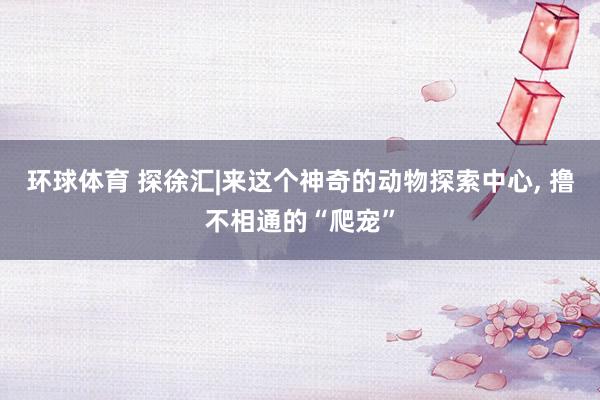 环球体育 探徐汇|来这个神奇的动物探索中心， 撸不相通的“爬宠”