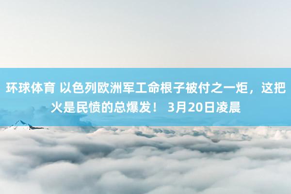 环球体育 以色列欧洲军工命根子被付之一炬，这把火是民愤的总爆发！ 3月20日凌晨