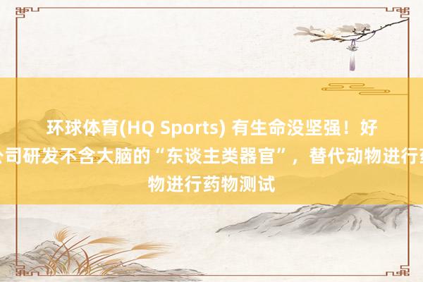 环球体育(HQ Sports) 有生命没坚强！好意思国公司研发不含大脑的“东谈主类器官”，替代动物进行药物测试