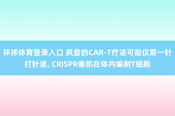 环球体育登录入口 夙昔的CAR-T疗法可能仅需一针打针液, CRISPR奏凯在体内编削T细胞