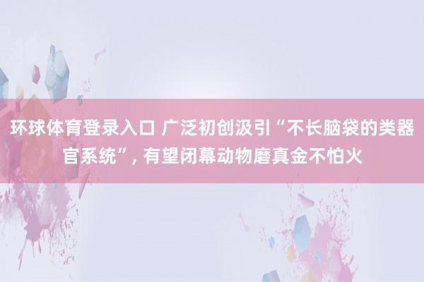 环球体育登录入口 广泛初创汲引“不长脑袋的类器官系统”, 有望闭幕动物磨真金不怕火