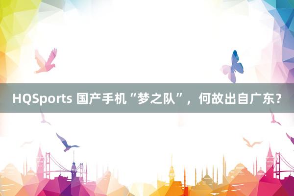 HQSports 国产手机“梦之队”，何故出自广东？