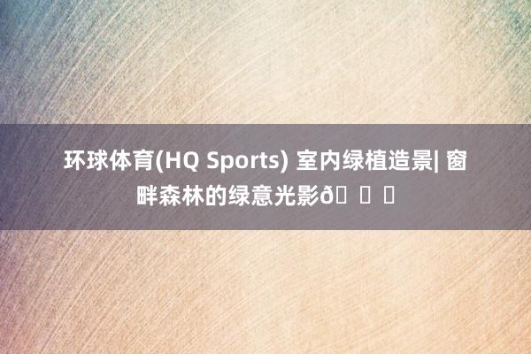 环球体育(HQ Sports) 室内绿植造景| 窗畔森林的绿意光影🍃