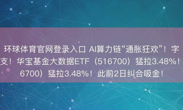 环球体育官网登录入口 AI算力链“通胀狂欢”！字节加多25%老本开支！华宝基金大数据ETF（516700）猛拉3.48%！此前2日纠合吸金！
