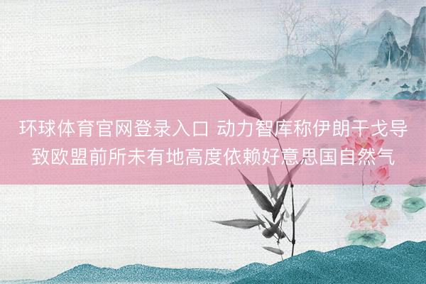 环球体育官网登录入口 动力智库称伊朗干戈导致欧盟前所未有地高度依赖好意思国自然气