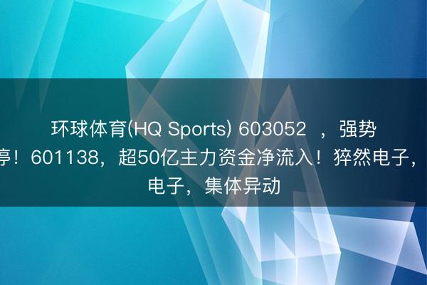 环球体育(HQ Sports) 603052  ，强势荟萃2涨停！601138，超50亿主力资金净流入！猝然电子，集体异动