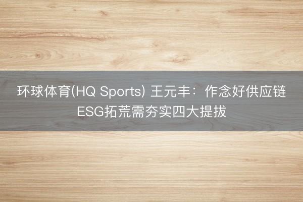 环球体育(HQ Sports) 王元丰：作念好供应链ESG拓荒需夯实四大提拔