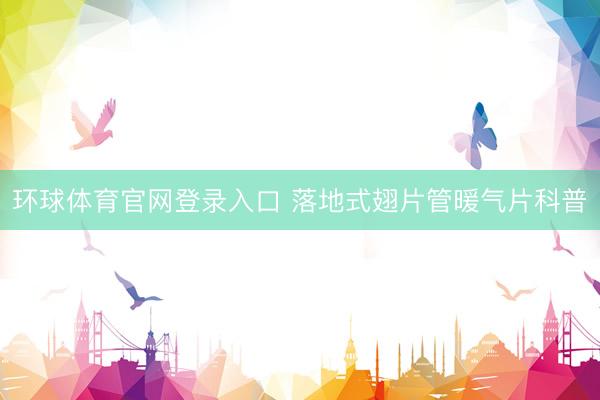 环球体育官网登录入口 落地式翅片管暖气片科普