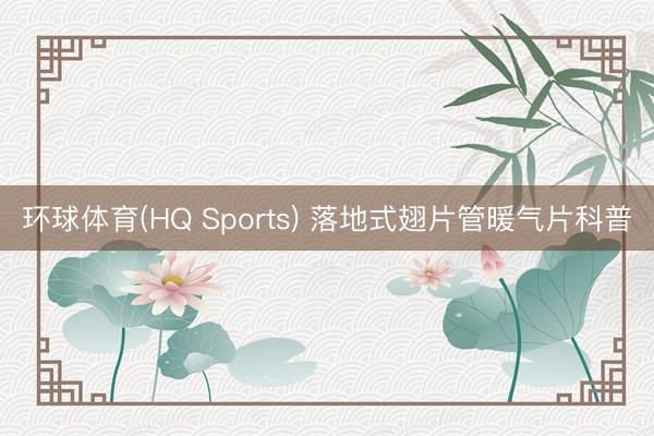 环球体育(HQ Sports) 落地式翅片管暖气片科普