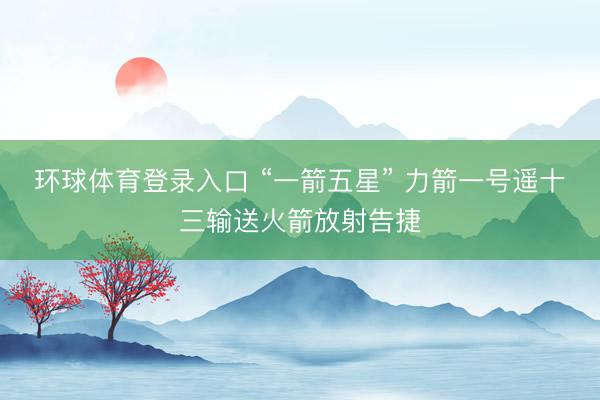 环球体育登录入口 “一箭五星” 力箭一号遥十三输送火箭放射告捷