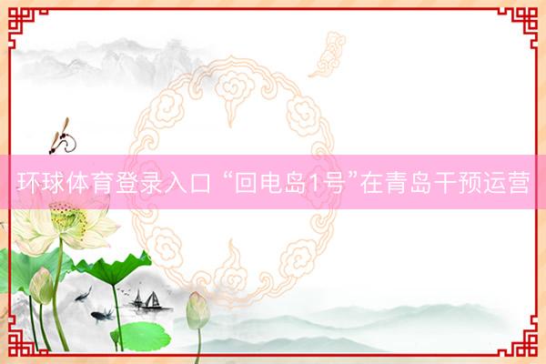 环球体育登录入口 “回电岛1号”在青岛干预运营