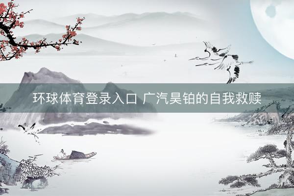 环球体育登录入口 广汽昊铂的自我救赎