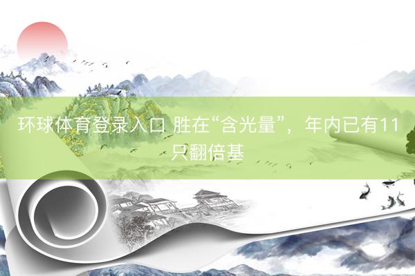 环球体育登录入口 胜在“含光量”，年内已有11只翻倍基