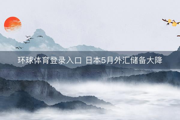 环球体育登录入口 日本5月外汇储备大降