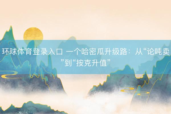 环球体育登录入口 一个哈密瓜升级路：从“论吨卖”到“按克升值”