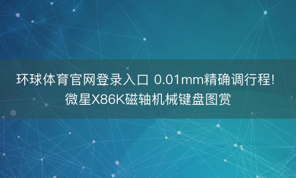 环球体育官网登录入口 0.01mm精确调行程! 微星X86K磁轴机械键盘图赏